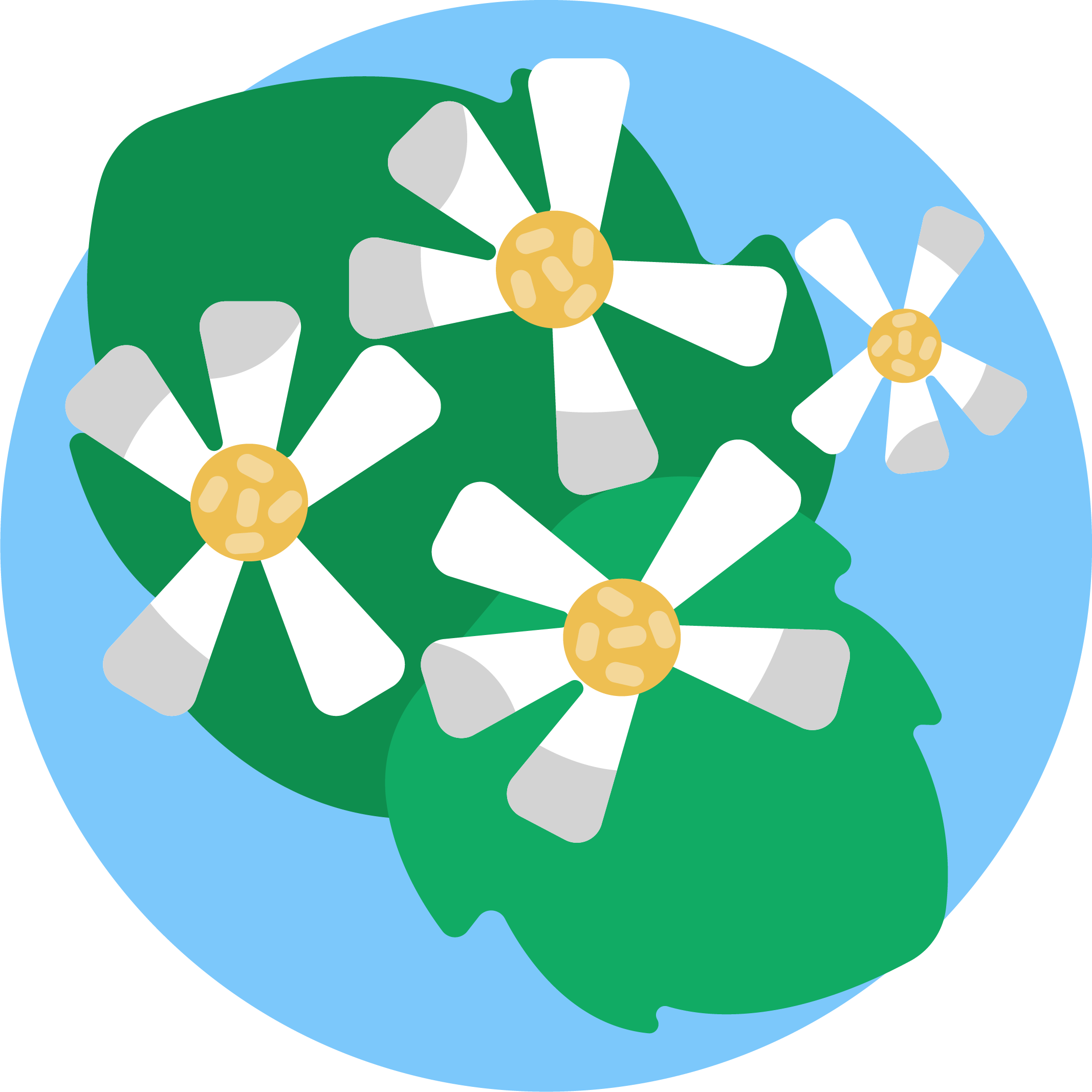 NatureWreathPro
